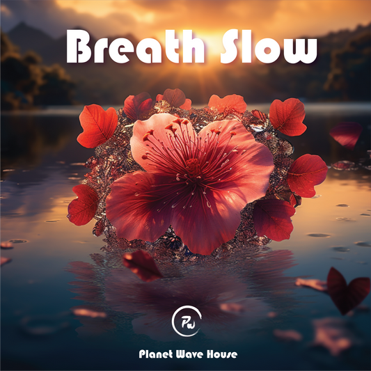 Breath Slow - NOT VOCAL INCLUDED- Deep House - 119 BPM - C Minor