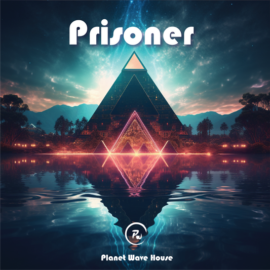 Prisoner - VOCAL NOT INCLUDED - Melodic House - 115 BPM - D Minor