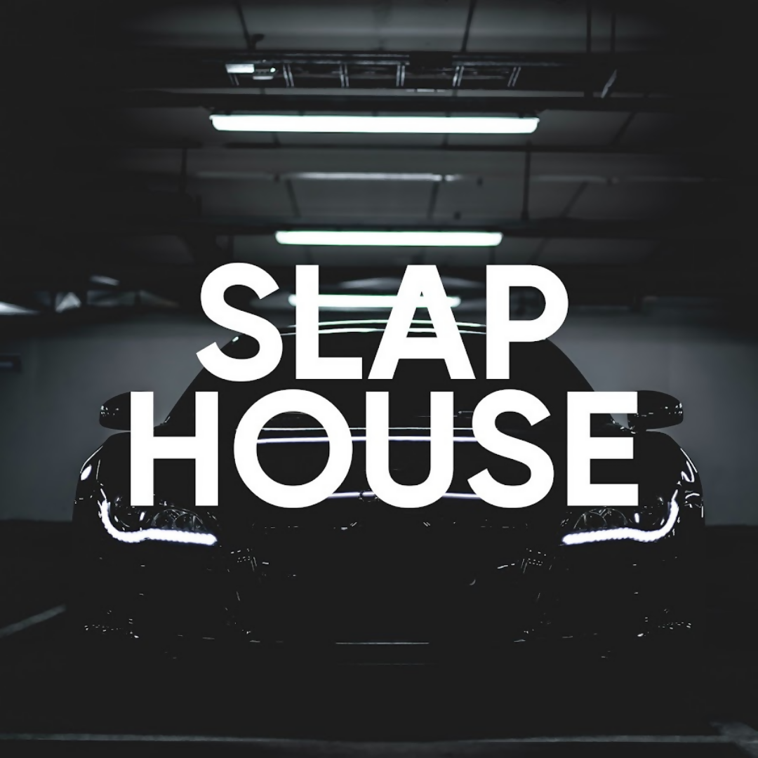 Slap House - 130 BPM - B Minor - Slap Happy